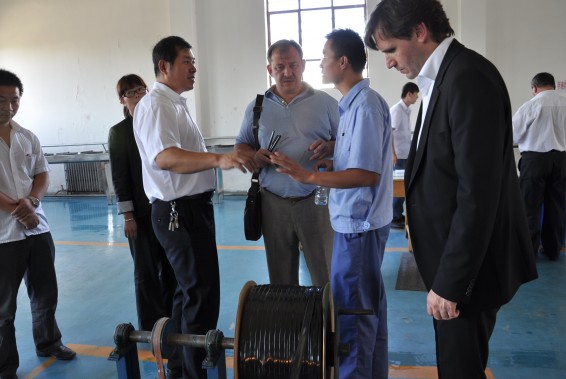 6t体育(6TSPORTS)·集团股份公司