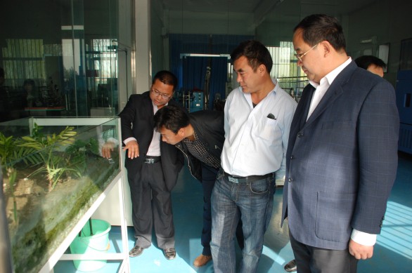 6t体育(6TSPORTS)·集团股份公司