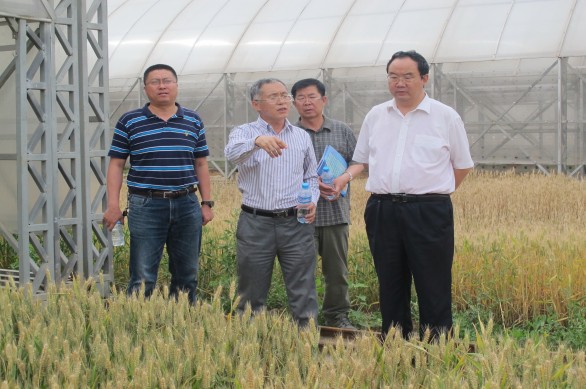 6t体育(6TSPORTS)·集团股份公司