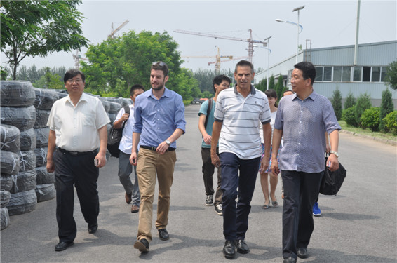 6t体育(6TSPORTS)·集团股份公司