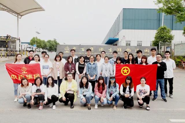 k1���� - ʮ��Ʒ�� ֵ������