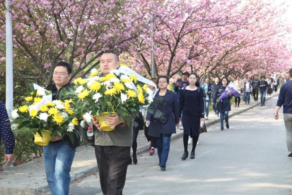 k1���� - ʮ��Ʒ�� ֵ������