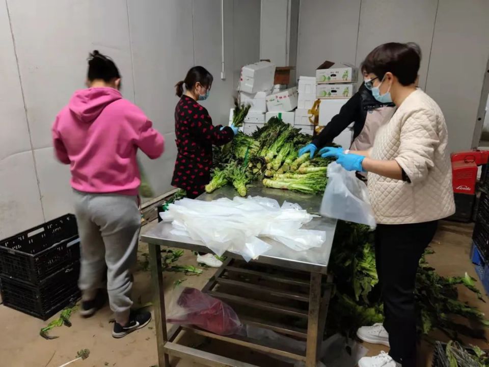 k1���� - ʮ��Ʒ�� ֵ������