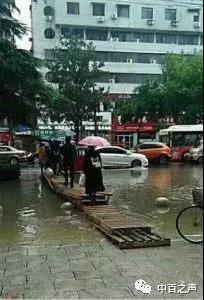 k1���� - ʮ��Ʒ�� ֵ������