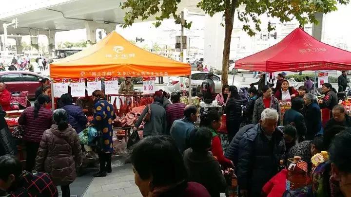 k1���� - ʮ��Ʒ�� ֵ������