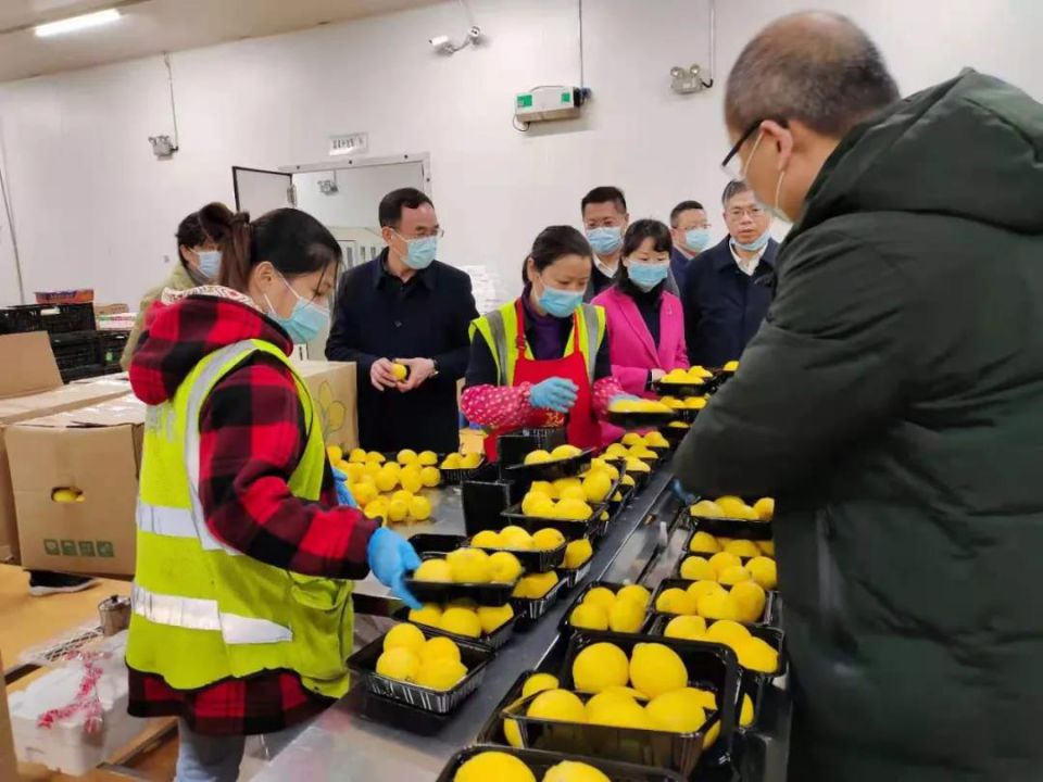 k1���� - ʮ��Ʒ�� ֵ������