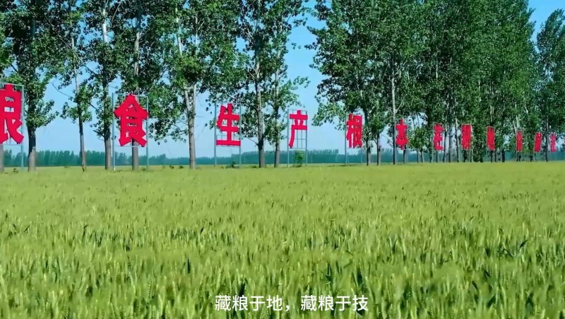 6tˮƽ߱׼ũｨʳ徲صԿƼνһ