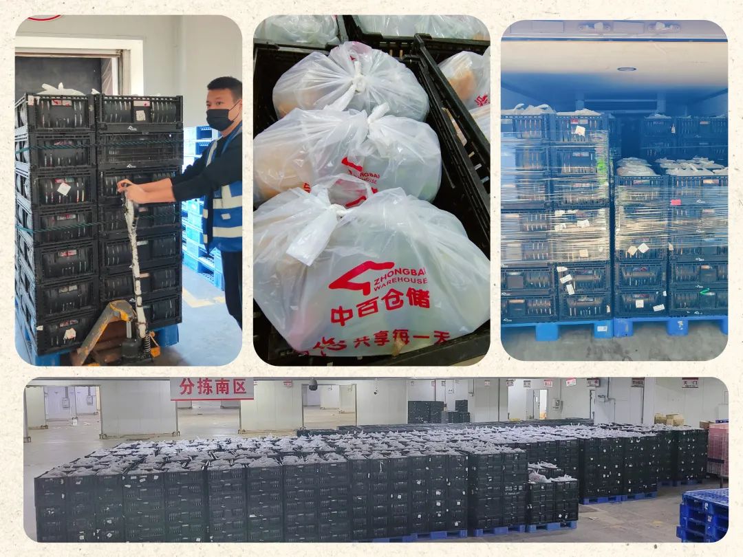 k1���� - ʮ��Ʒ�� ֵ������