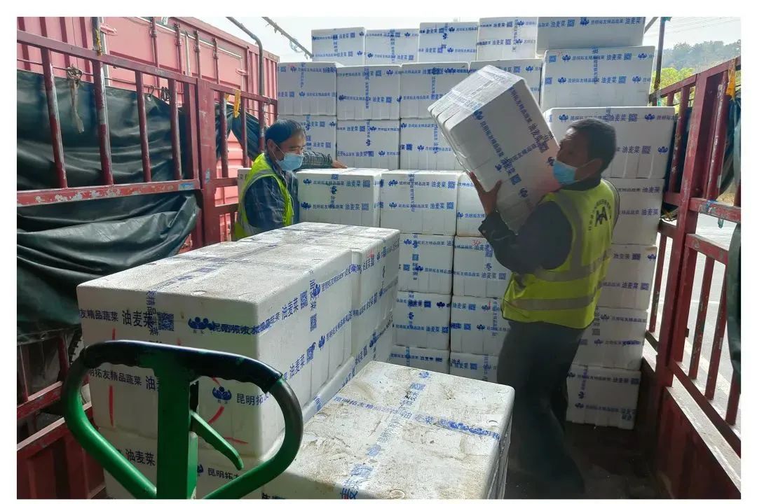 k1���� - ʮ��Ʒ�� ֵ������