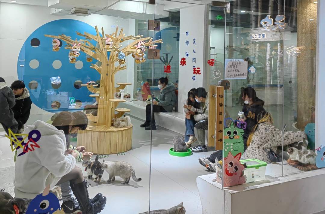 k1���� - ʮ��Ʒ�� ֵ������