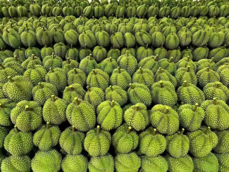 k1���� - ʮ��Ʒ�� ֵ������