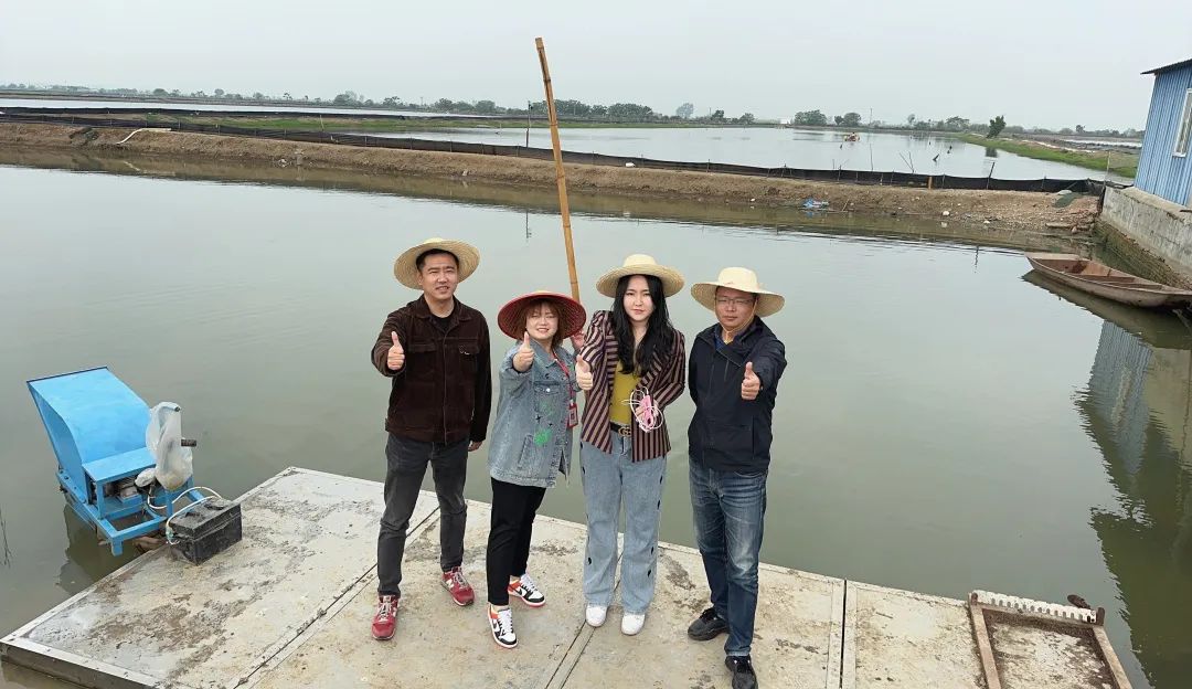 k1���� - ʮ��Ʒ�� ֵ������