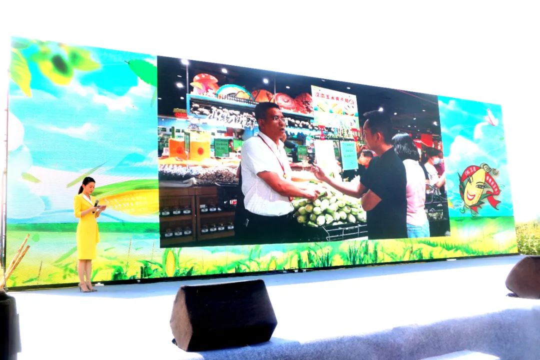 k1���� - ʮ��Ʒ�� ֵ������