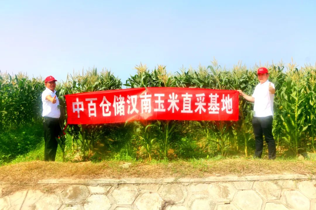 k1���� - ʮ��Ʒ�� ֵ������