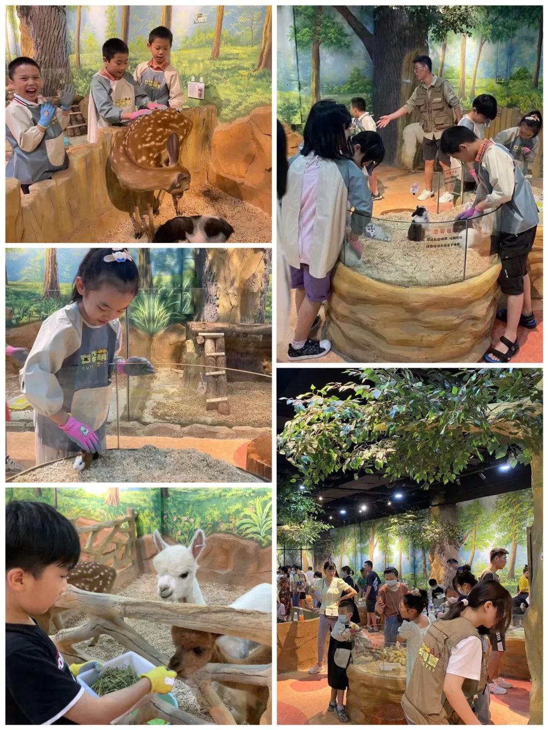 k1���� - ʮ��Ʒ�� ֵ������