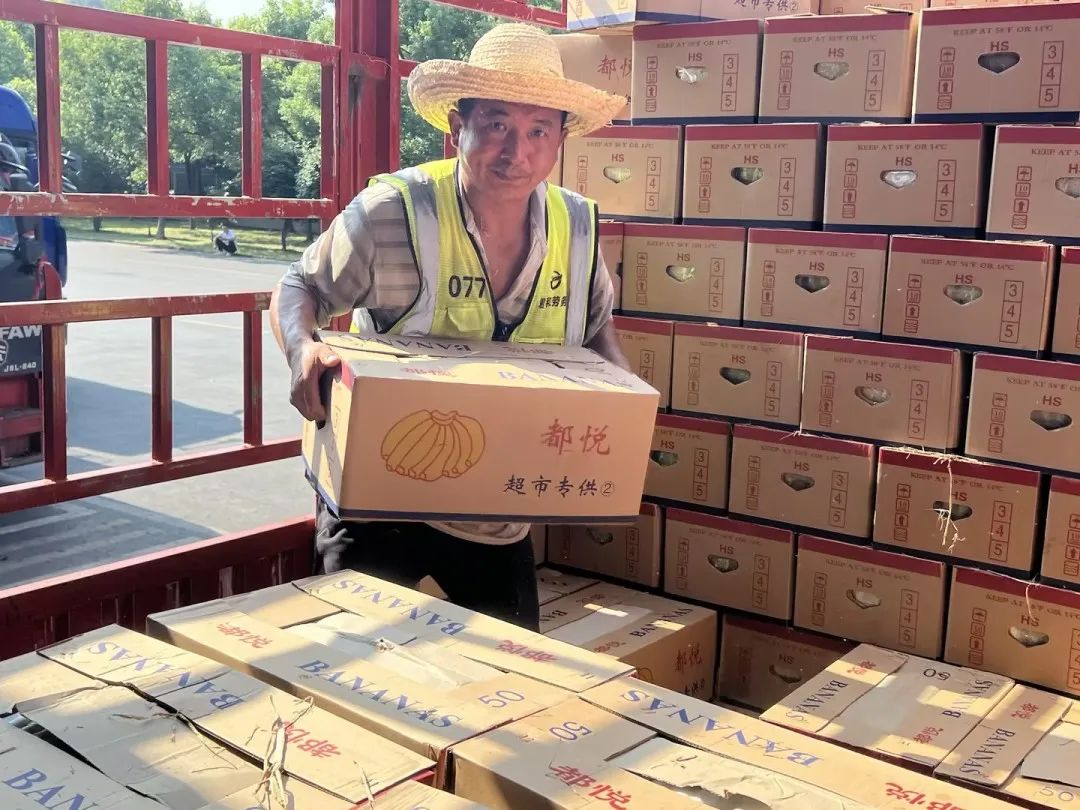 k1���� - ʮ��Ʒ�� ֵ������