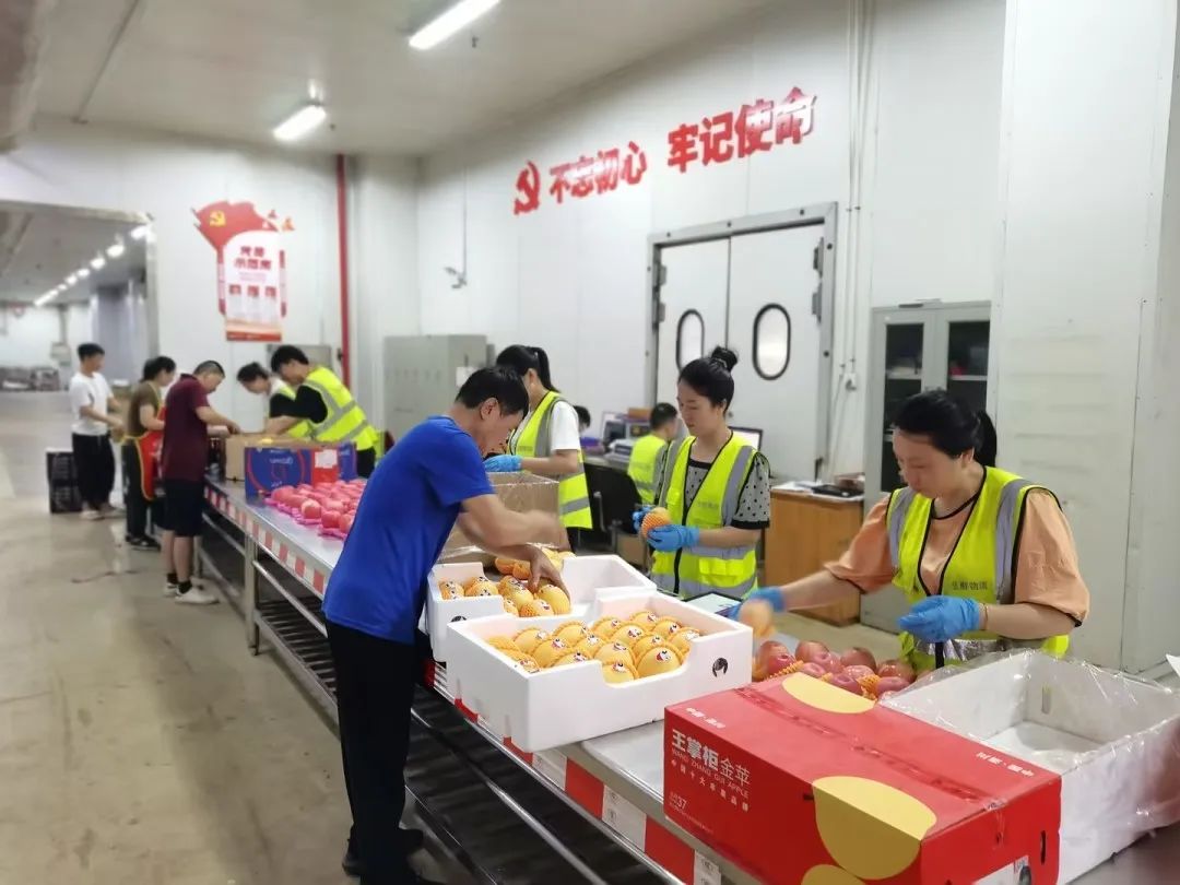 k1���� - ʮ��Ʒ�� ֵ������