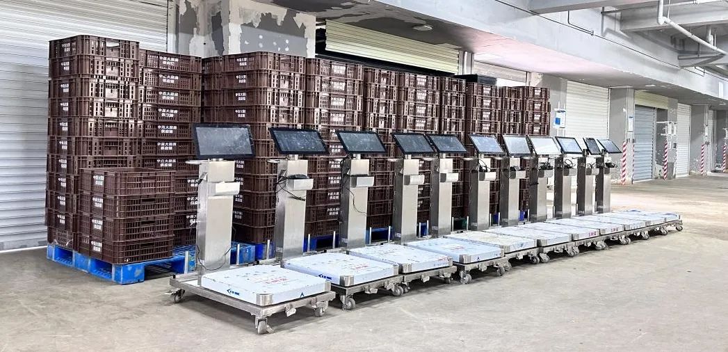 k1���� - ʮ��Ʒ�� ֵ������