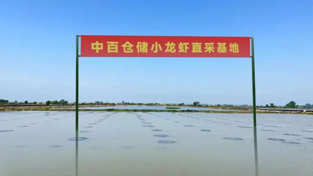 k1���� - ʮ��Ʒ�� ֵ������