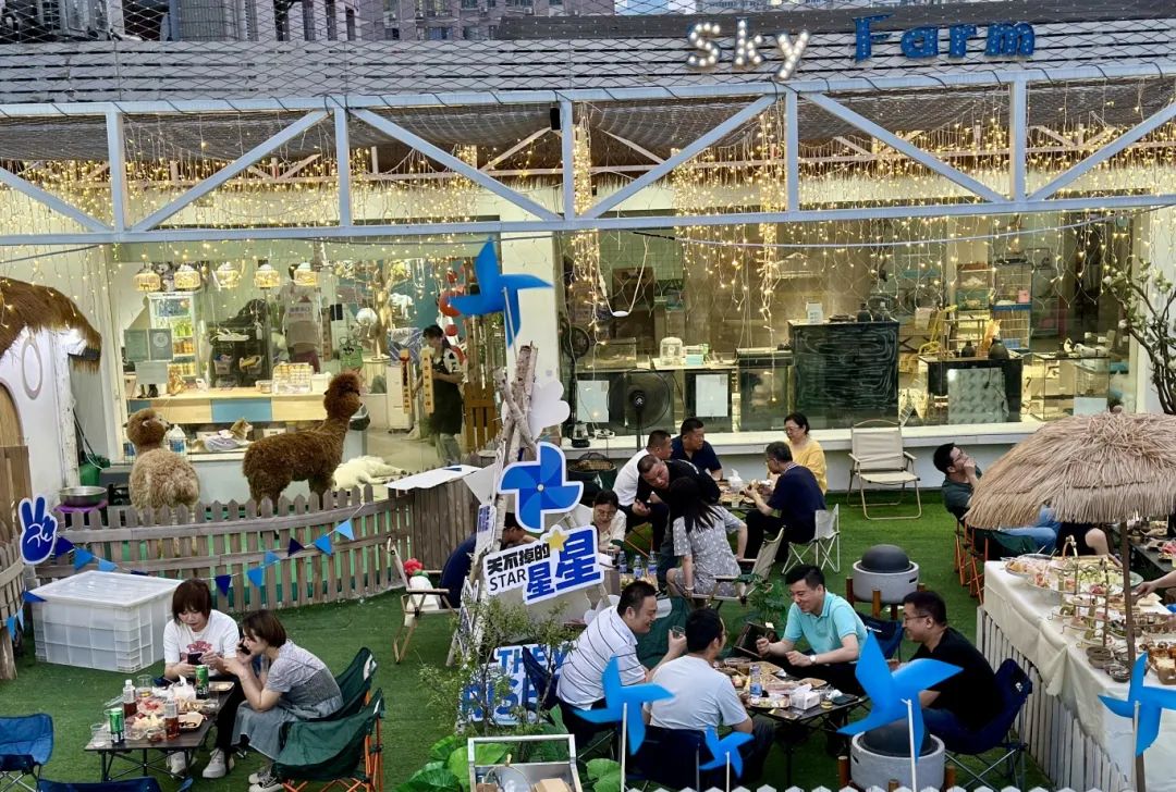 k1���� - ʮ��Ʒ�� ֵ������