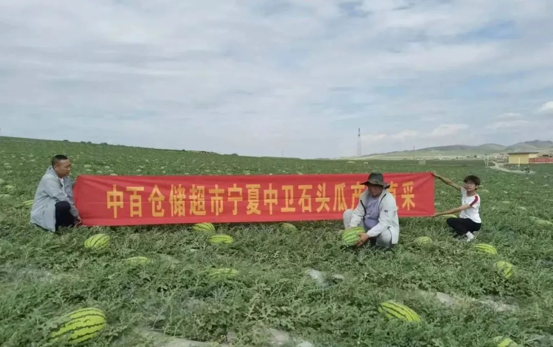 k1���� - ʮ��Ʒ�� ֵ������