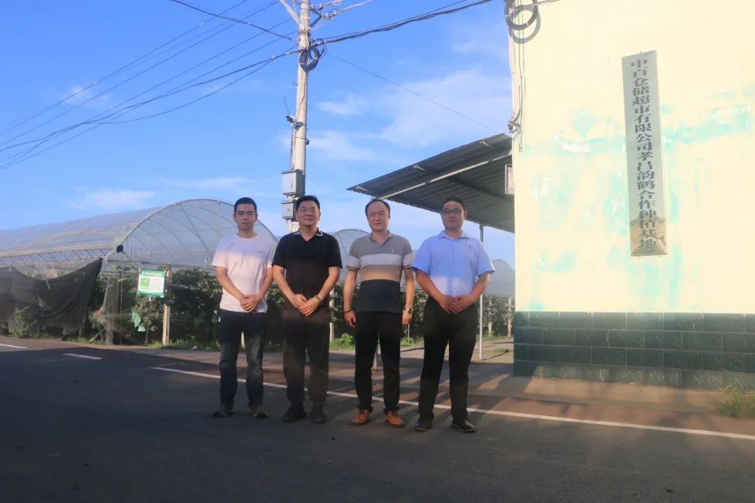 k1���� - ʮ��Ʒ�� ֵ������