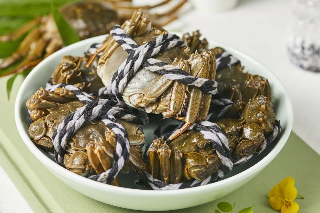 k1体育 - 十年品牌 值得信任