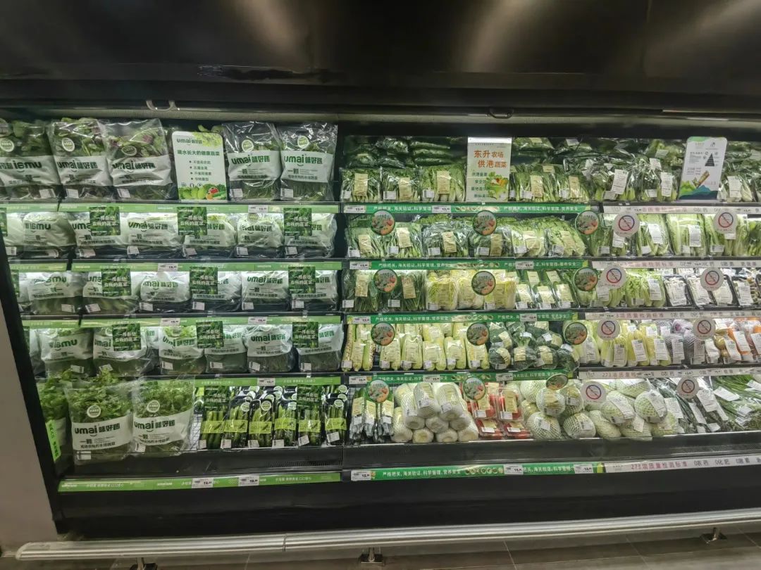 k1���� - ʮ��Ʒ�� ֵ������