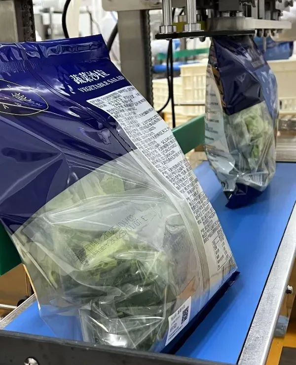 k1���� - ʮ��Ʒ�� ֵ������