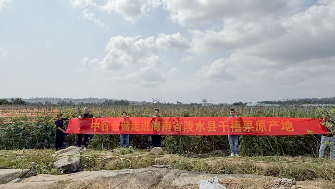 k1���� - ʮ��Ʒ�� ֵ������