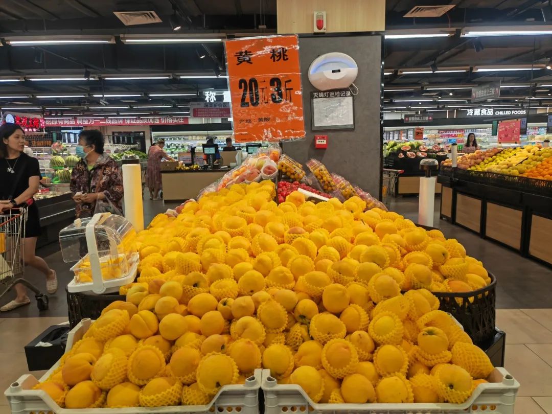 k1���� - ʮ��Ʒ�� ֵ������