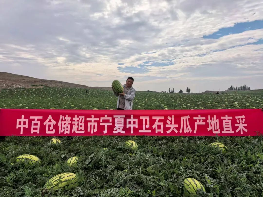 k1���� - ʮ��Ʒ�� ֵ������