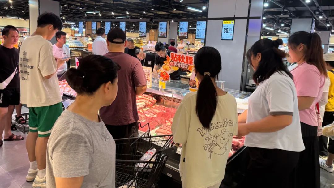 k1���� - ʮ��Ʒ�� ֵ������